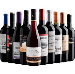 Kit_10 Vinhos por R$23,40 cada - Evino