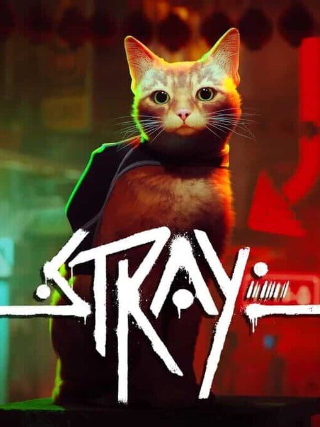 jogo do gatinho stray