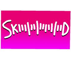 SKIIIIIIIIIIIIIIID de graça para PC por tempo limitado