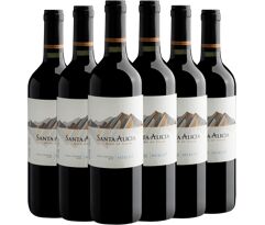 Kit 6 Santa Alicia Merlot Valle Central