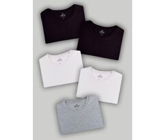 Kit Com 5 Camisetas Básicas Hering Masculinas