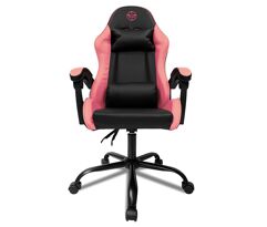 Cadeira Gamer Tgt Heron Rosa Reclinável 2 Almofadas