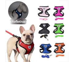 Coleira Peitoral para Cachorro Pet Colete Refletivo + Guia