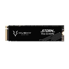 SSD Husky Gaming Storm Gen4 2TB M.2 NVMe Leitura 7100MB/s Gravação 6700MB/s PCIe 4.0 HGML046