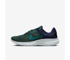 Tênis Nike Flex Experience Run 11 Next Nature Masculino