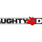 Naughty Dog on fire